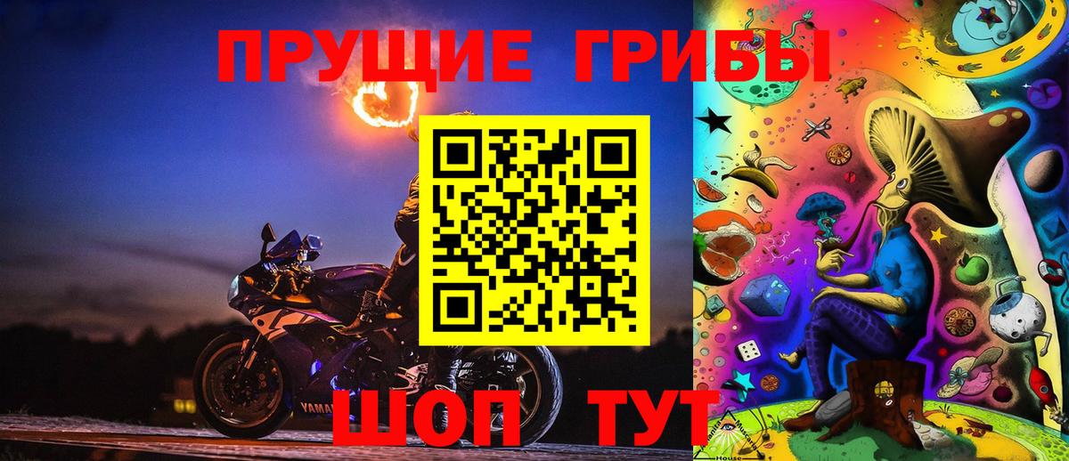 Галлюциногенные грибы Psilocybine cubensis  Вход с VPN  Тихвин 