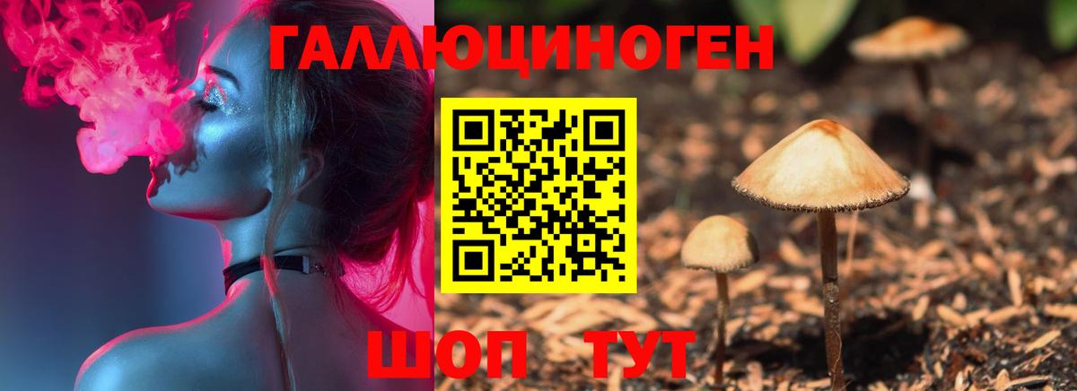 Псилоцибиновые грибы GOLDEN TEACHER Тихвин